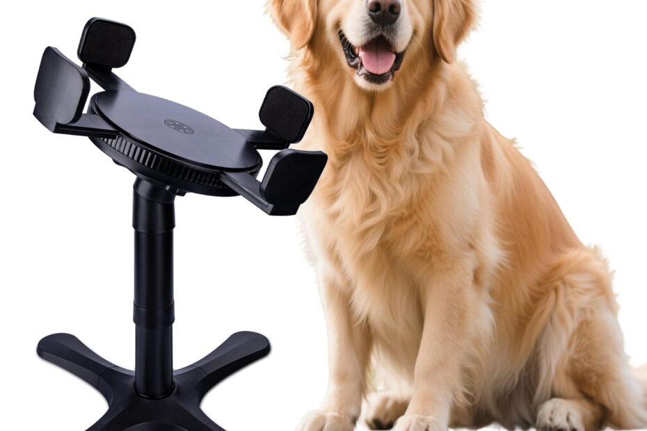 Discover the Benefits of the Elevated Adjustable Dog Bowl Feeding Stand for Your Pet!