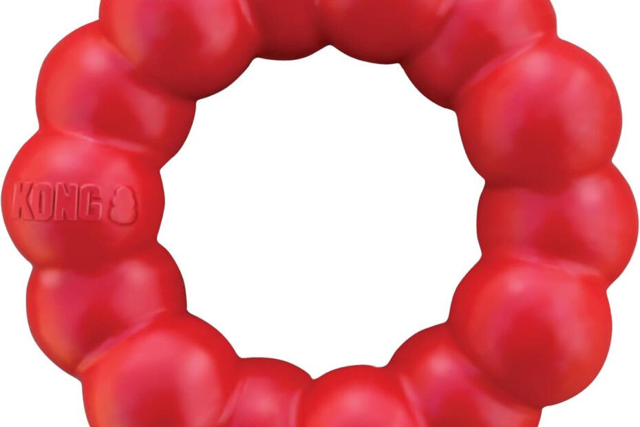 Discover the KONG Ring: The Ultimate Chew Toy for Healthy, Happy Dogs!