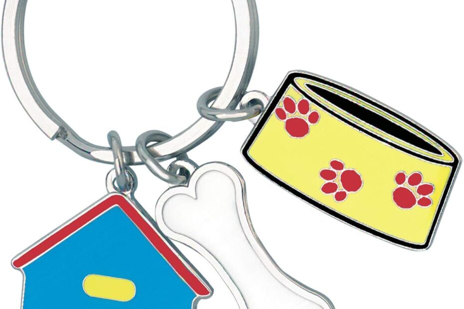 Discover the Perfect Blend of Style and Functionality: Metal Charmed Keychain Review!