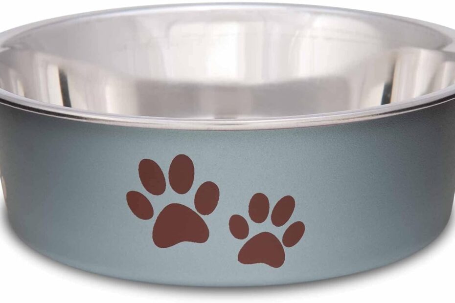 Discover the Perfect Spill Proof Bowls for Your Furry Friends: Loving Pets Bella Review