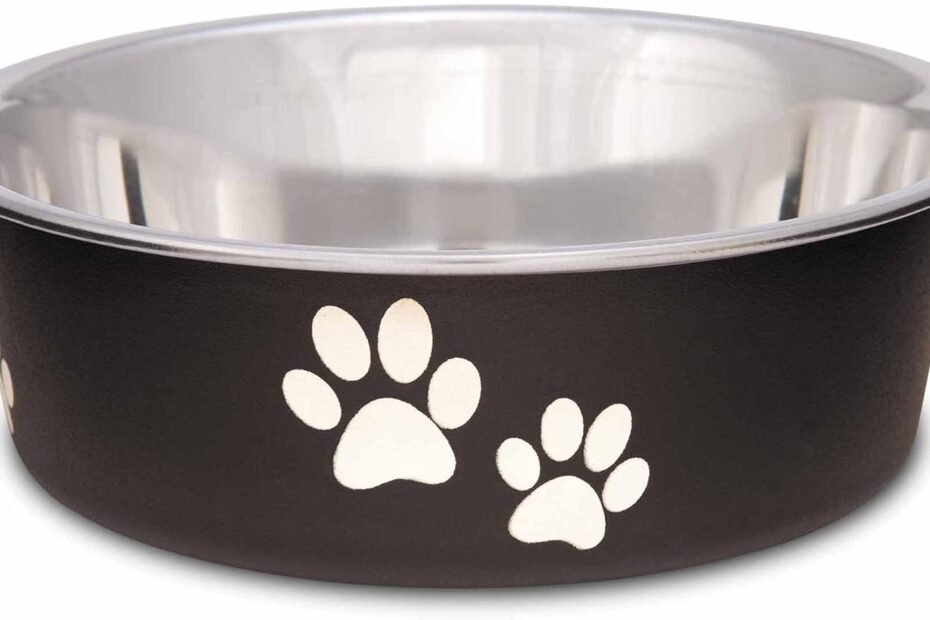 Elevate Mealtime: A Review of Loving Pets Bella Stainless Steel Bowls for Dogs and Cats