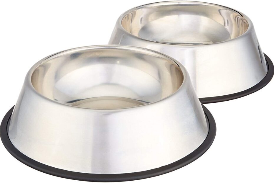 Elevate Mealtime: Amazon Basics Stainless Steel Pet Bowls Reviewed!