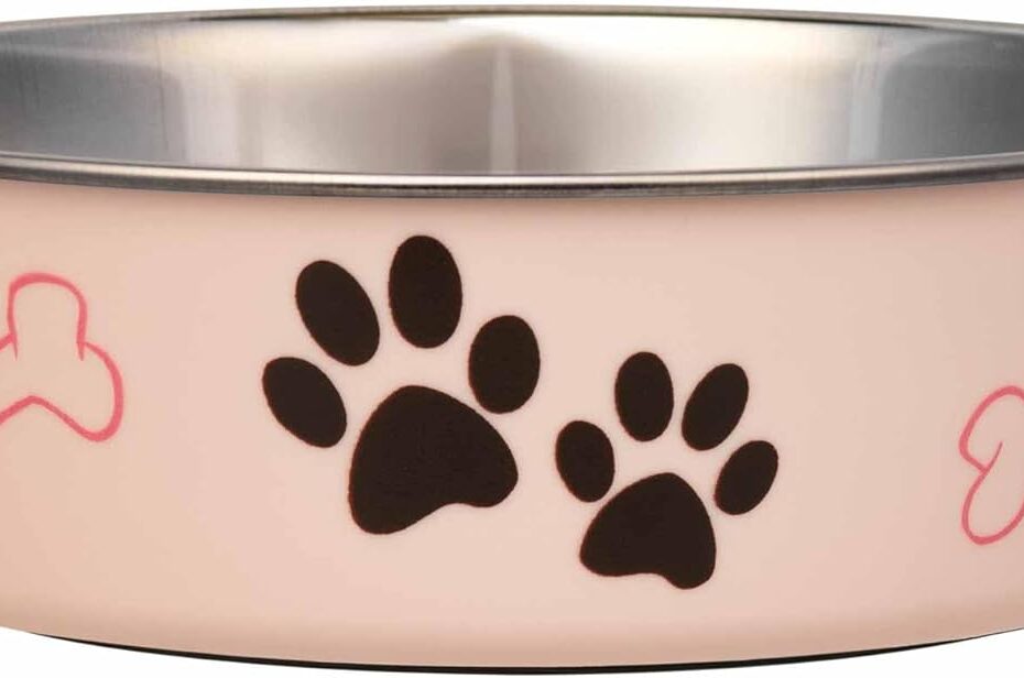 Elevate Mealtime: Loving Pets Bella Spill Proof Bowls for Dogs and Cats