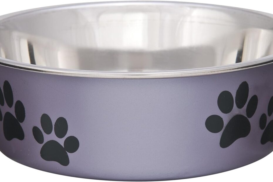 Elevate Mealtime: Loving Pets Bella Stainless Steel Bowls Review