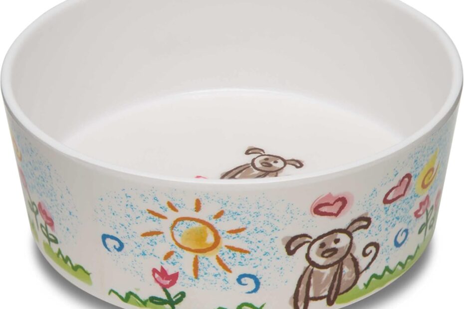 Elevate Mealtime: Loving Pets Dolce Moderno Dog Bowl Review