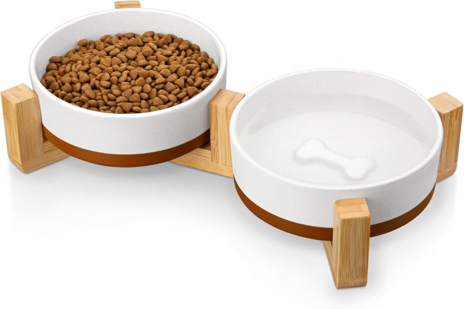 Elevate Mealtime: MALACASA Non-Slip Ceramic Dog Bowls Review