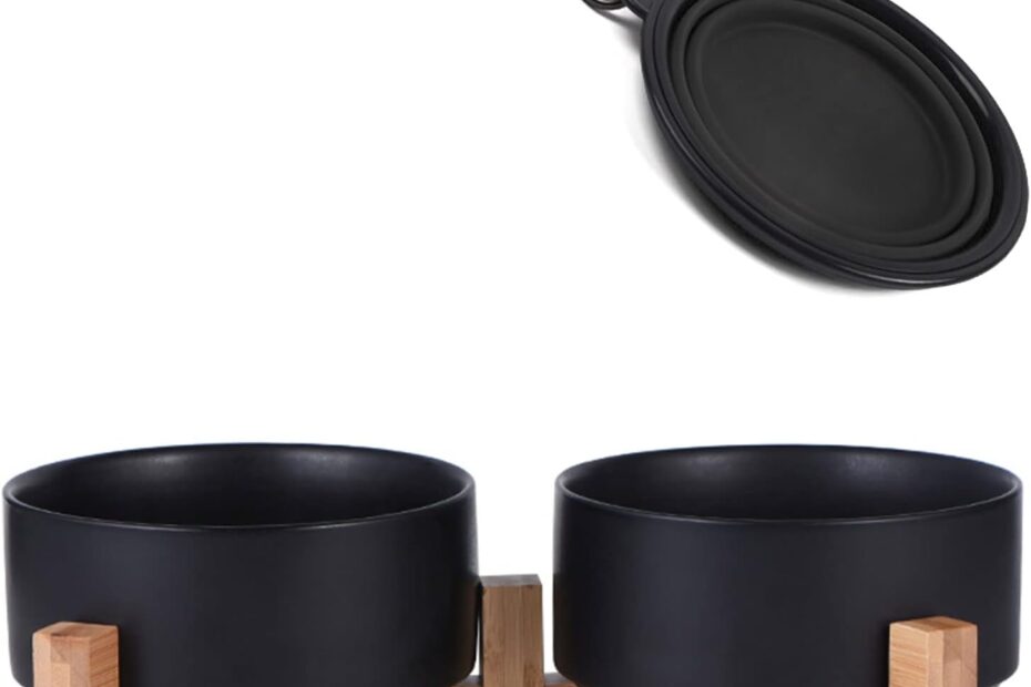 Elevate Mealtime: Petygooing Stylish Dog Bowl Set Review