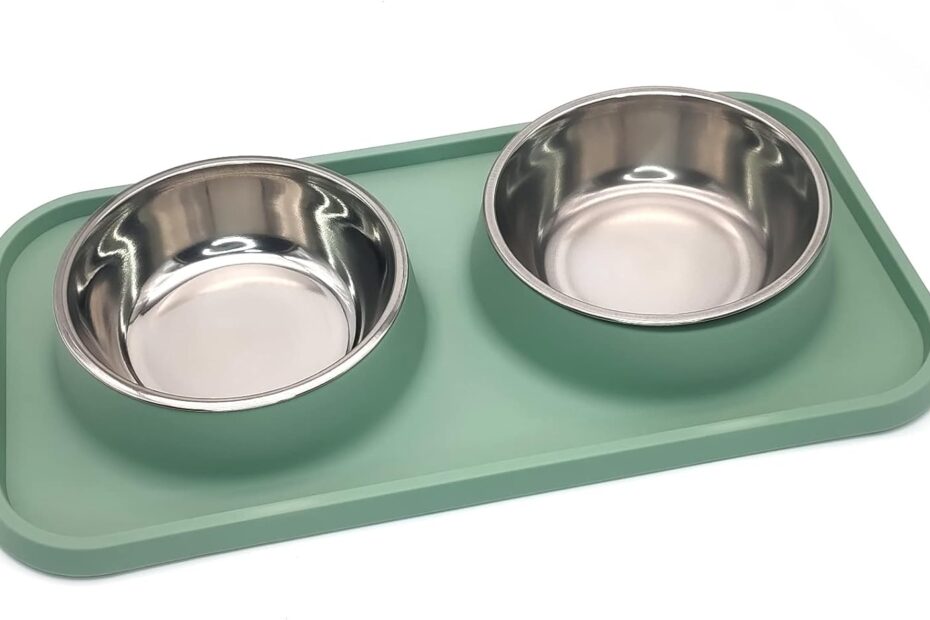Elevate Mealtime: Review of BNOSDM Double Dog Food Bowls with Non-Spill Mat
