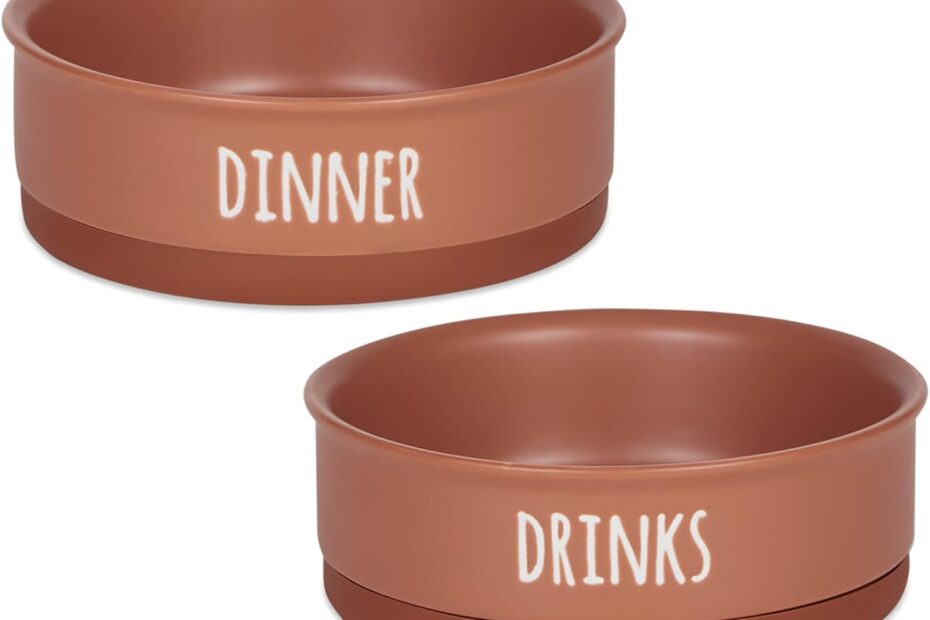 Elevate Mealtime: Review of Bone Dry Ceramic Pet Bowls for Dogs & Cats