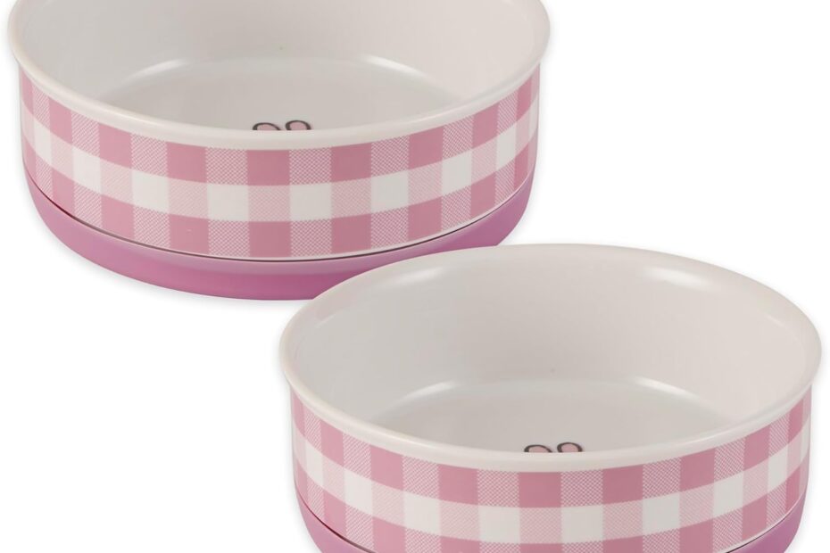Elevate Mealtime: Review of Bone Dry Non-Slip Ceramic Food Bowls