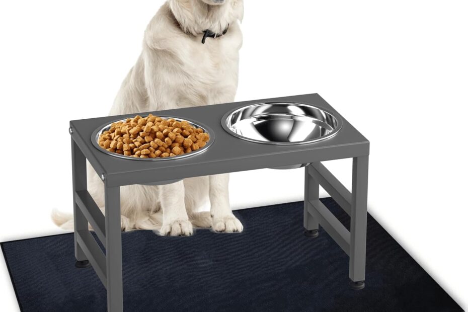 Elevate Mealtime: Review of the Metal Raised Dog Bowl Stand