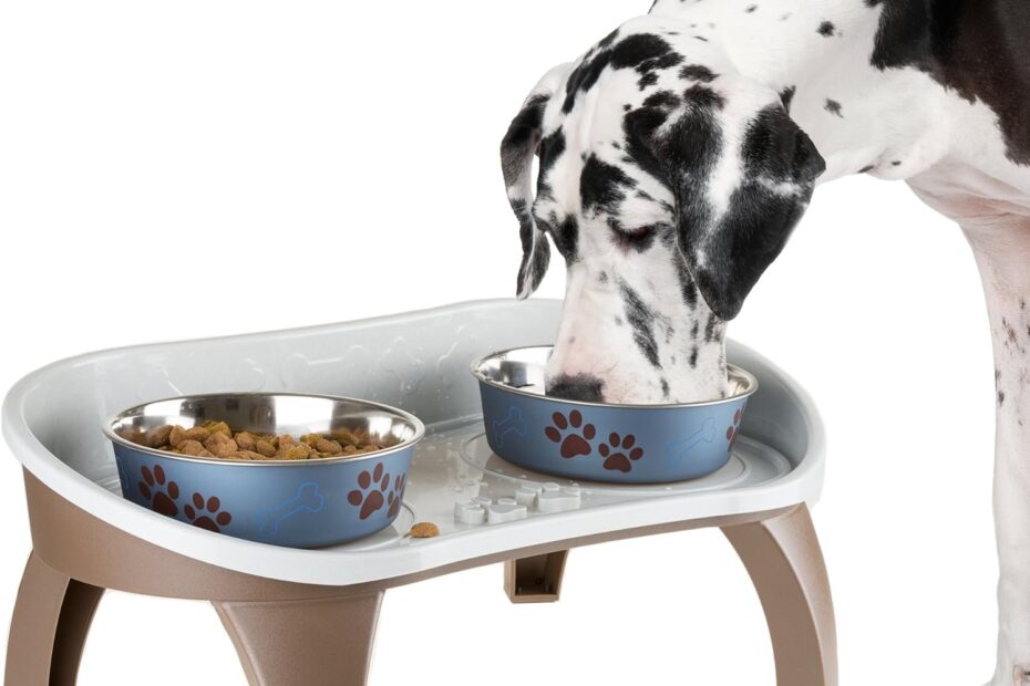 Elevate Mealtime: Review of the Petmaker Dog Bowl Stand for Large Pets
