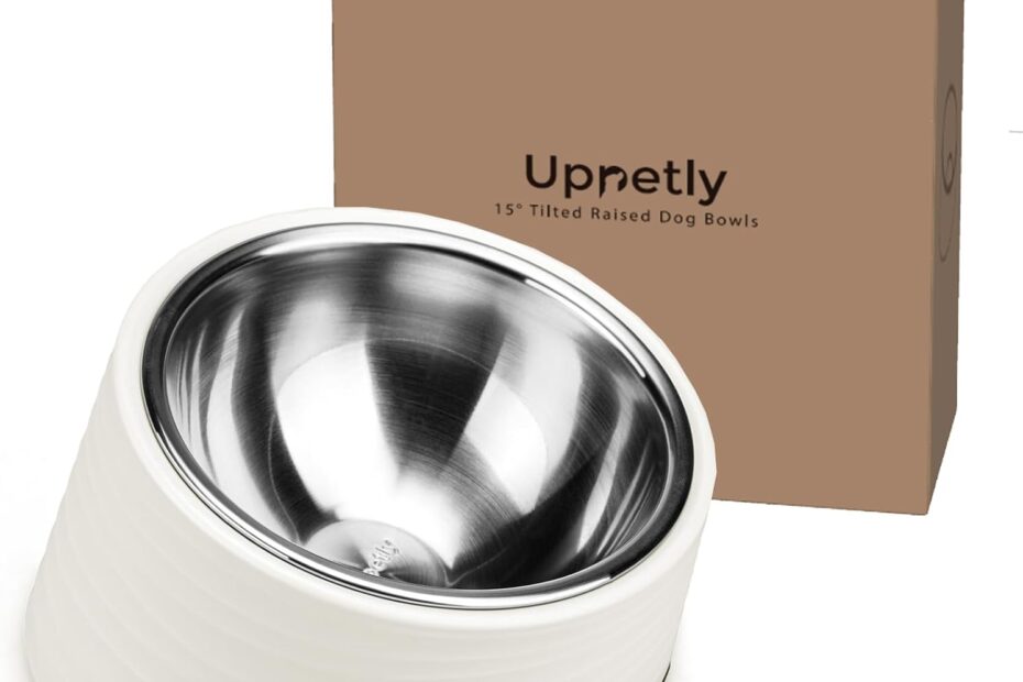 Elevate Mealtime: Review of the Slanted Small Cat Food Bowl!