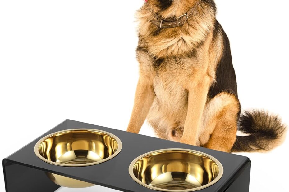 Elevate Mealtime: Review of the Stylish Licker Store DBL2001B Medium/Large Pet Feeder