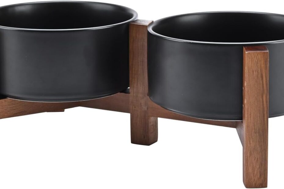 Elevate Mealtime: SPUNKYJUNKY Ceramic Dog Bowls Review & Recommendation