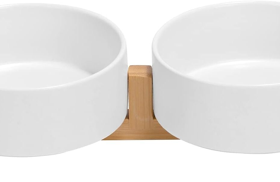 Elevate Mealtime: SPUNKYJUNKY Non-Slip Ceramic Pet Bowls Reviewed!