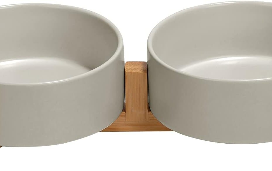Elevate Mealtime: SPUNKYJUNKY's Stylish Non-Slip Pet Bowl Set Review