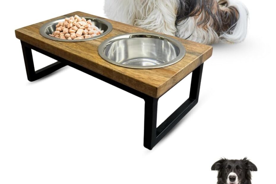 Elevate Mealtime: Stylish Stainless Steel Dog Bowl Stand Review