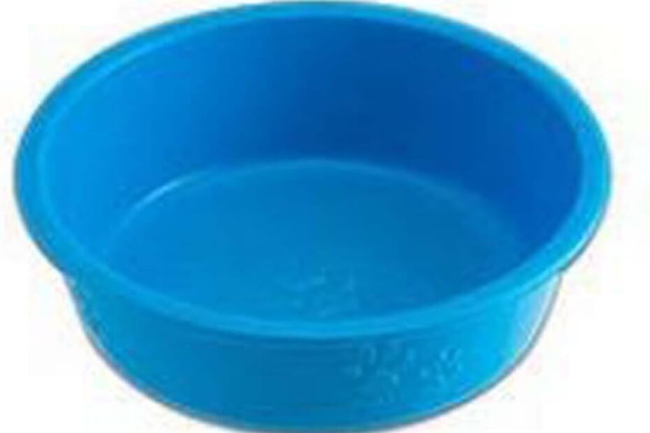 Elevate Mealtime with the Loving Pets Dolce Luminoso Dog Bowl: A Review