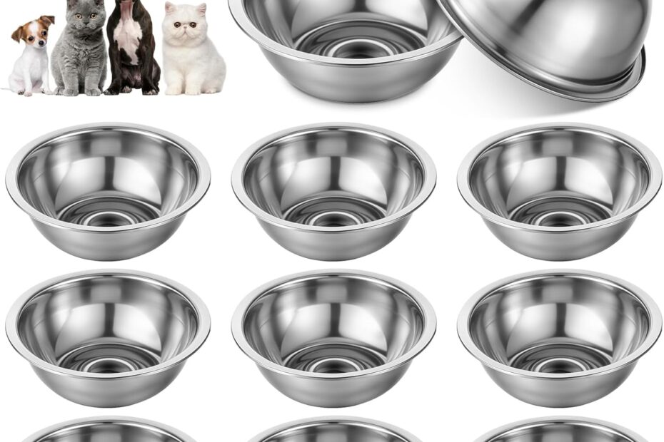 Elevate Your Dog's Dining: Review of 10 Pcs Stainless Steel Dog Bowls for All Breeds