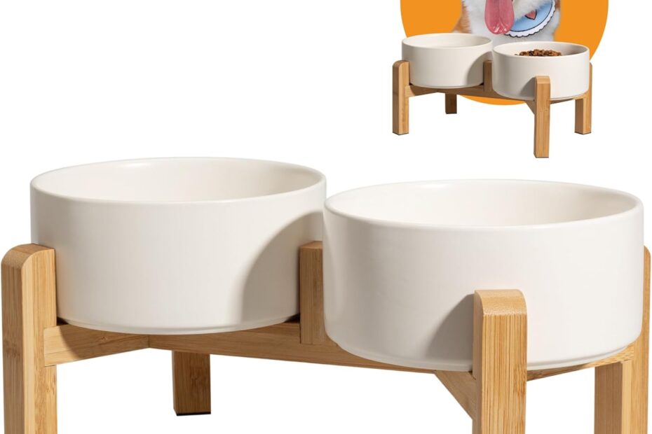 Elevate Your Dog's Dining: The Perfect Ceramic Bowl Set for Small to Medium Breeds