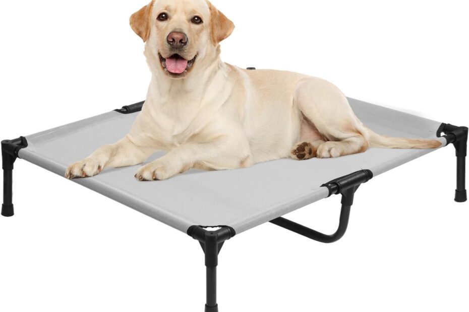 Elevate Your Pet's Comfort: Review of the 42-Inch Raised Dog Bed