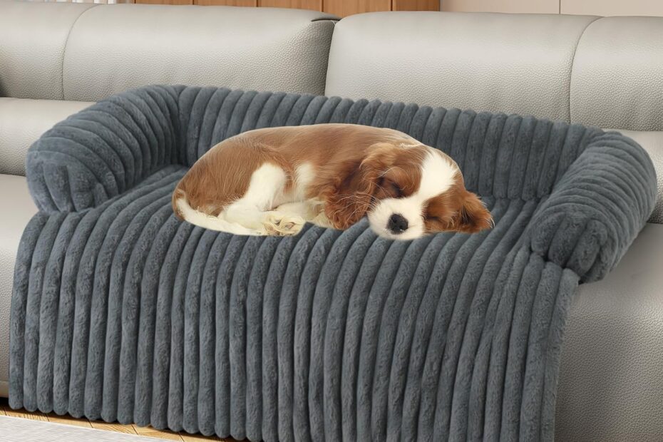 Elevate Your Pet's Comfort: Review of the Luxurious Dog Couch Bed