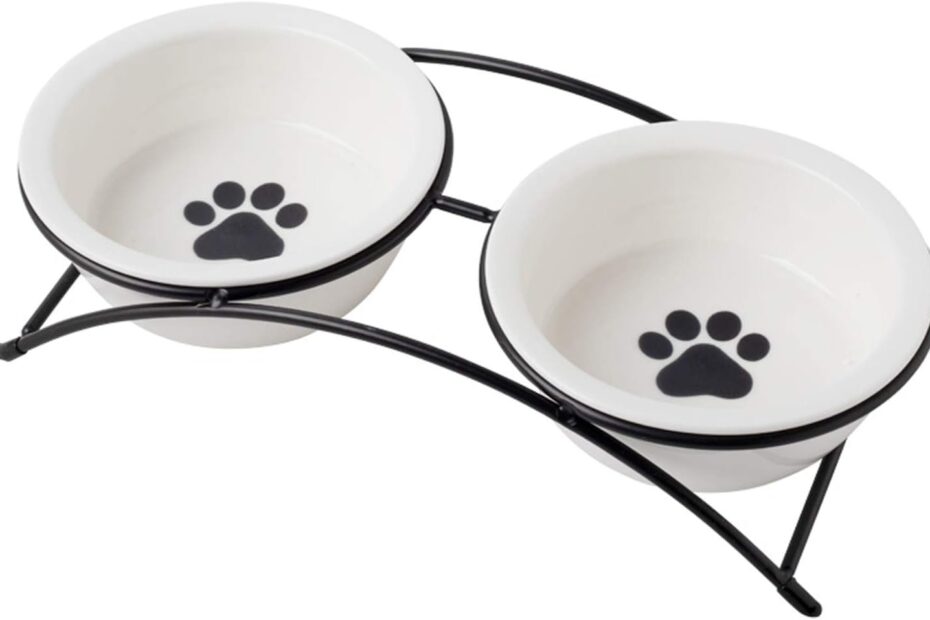 Elevate Your Pet's Dining Experience: A Review of Ceramic Raised Bowls