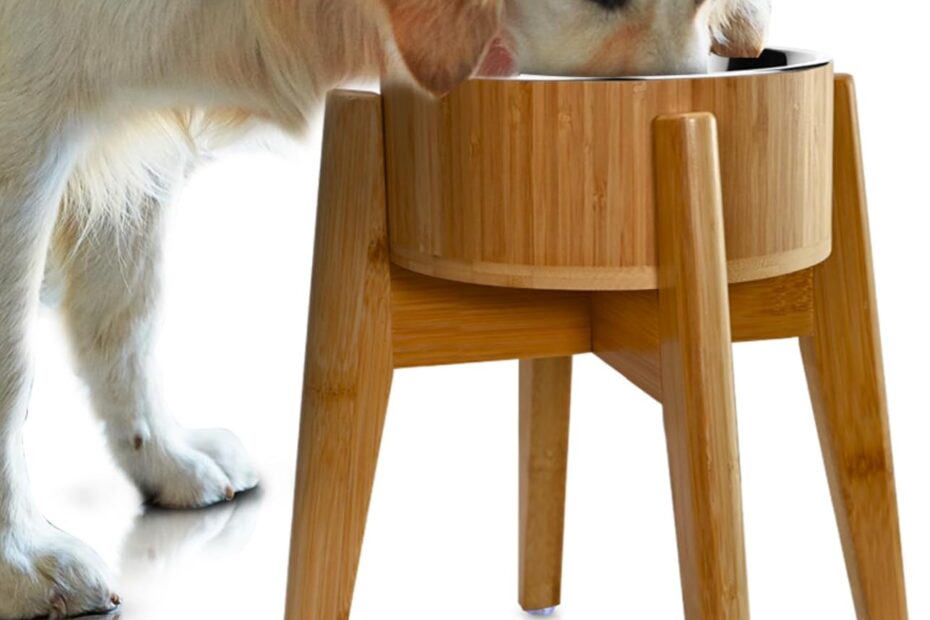 Elevate Your Pet's Dining Experience: A Review of the Best Elevated Dog Bowls for Large Breeds