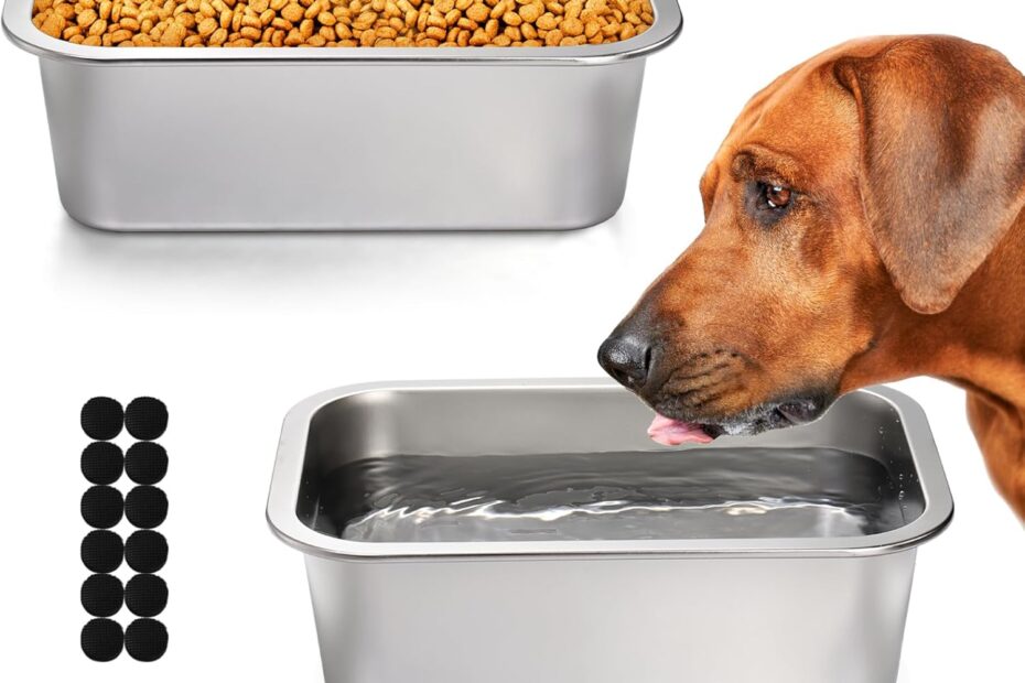 Elevate Your Pet's Dining Experience: Lawei 2 Pack Stainless Steel Dog Bowls Review