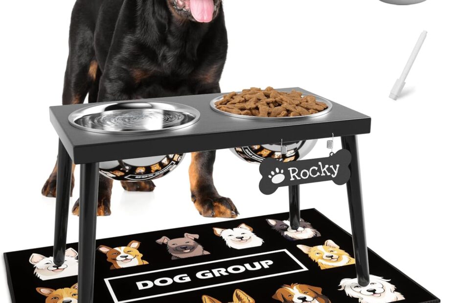 Elevate Your Pet's Dining Experience: Reviews of the Metal Raised Dog Bowl Stand
