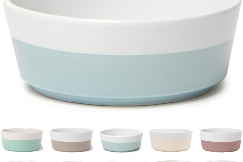 Elevate Your Pet's Dining Experience: Waggo Dipper Ceramic Dog Bowl Review