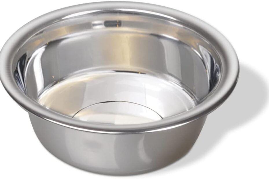 Elevate Your Pet's Dining: Review of the Van Ness Stainless Steel Dog Bowl!