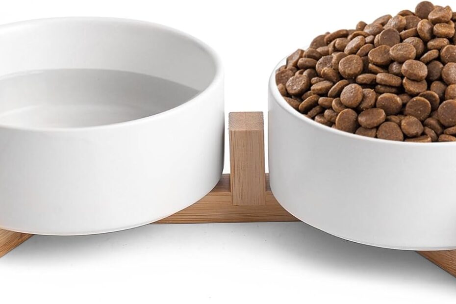 Elevate Your Pet's Dining: Review of the White Ceramic Dog & Cat Bowl Set