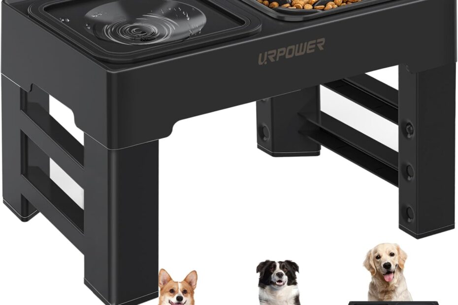 Elevate Your Pet's Dining: URPOWER 2-in-1 Slow Feeder & Water Bowl Review
