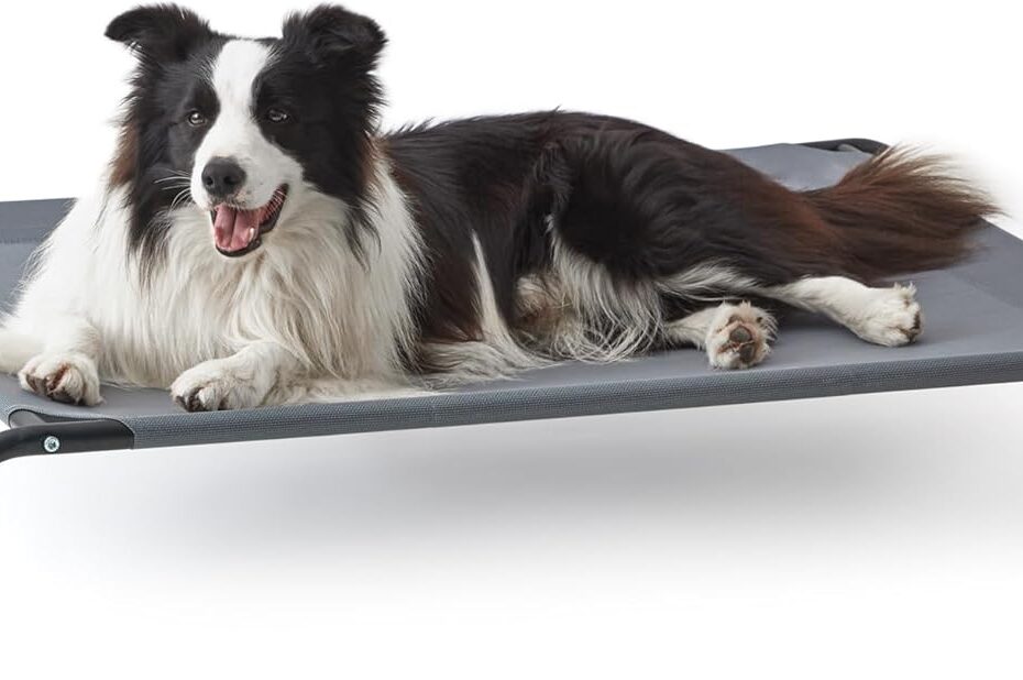 Elevate Your Pup's Comfort: Love's Cabin Cooling Dog Bed Review