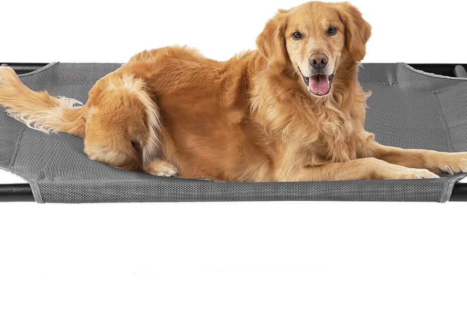 Elevate Your Pup's Comfort: Review of the EHEYCIGA Elevated Dog Cot Bed