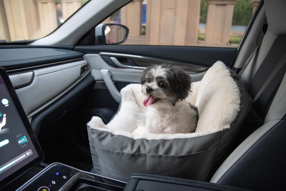 Elevate Your Pup's Travel Comfort: A Review of the Best Pet Supplies Dog Booster Seat