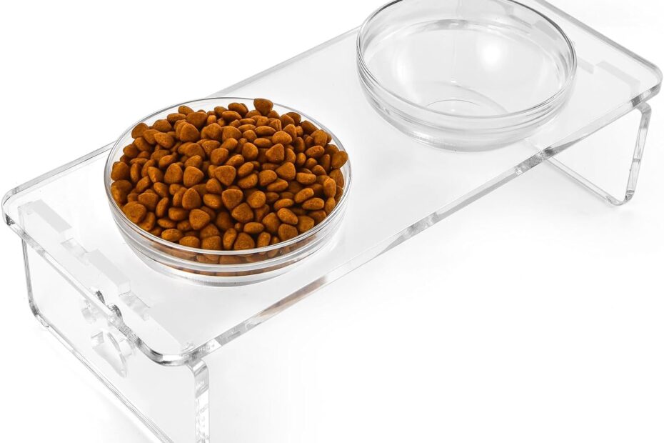 Elevated Comfort: Review of the Acrylic Raised Dog Feeder for Medium Pets