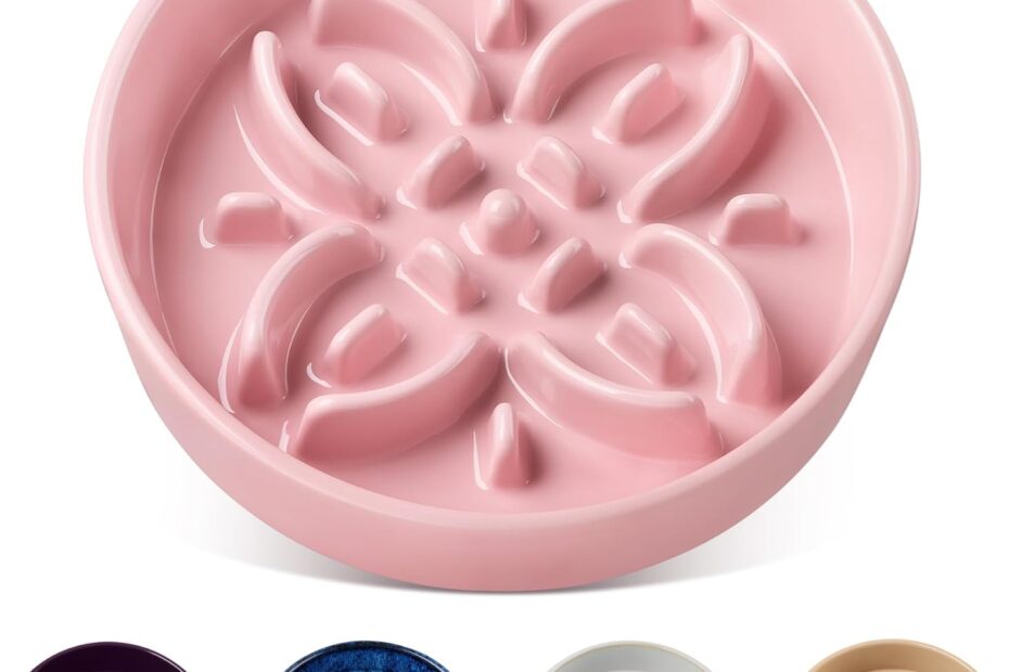 Enhance Your Pup's Mealtime: Vancasso Ceramic Slow Feeder Bowls Reviewed!