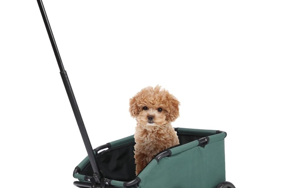 Explore the Comfort of the Mini Dog Stroller: Perfect for Small Pets on the Go!