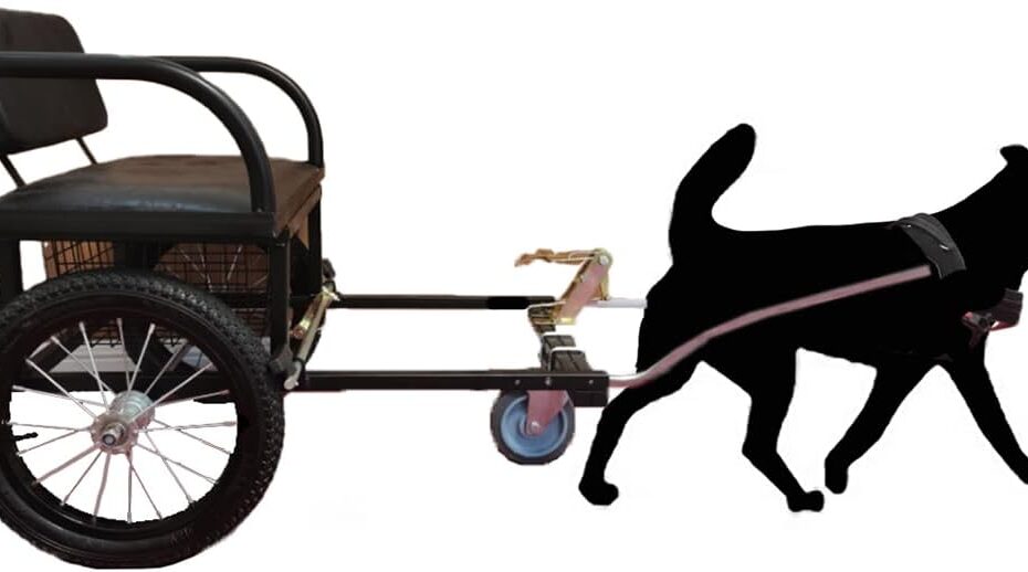 Explore the Dog Pulling Cart: A Sled Wagon for Your Furry Friends