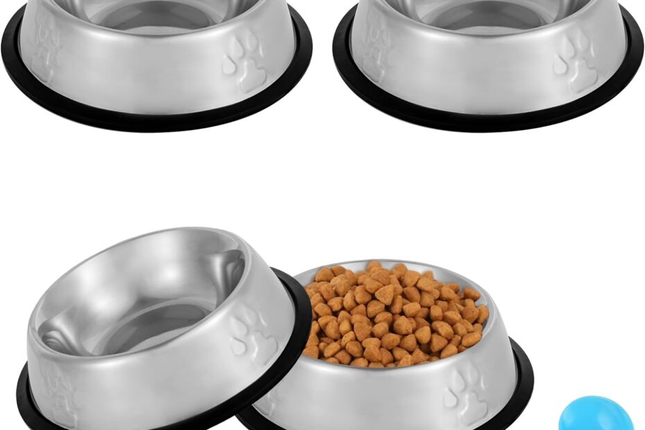 Feed with Flair: Review of the Stainless Steel Cat Bowl Set!