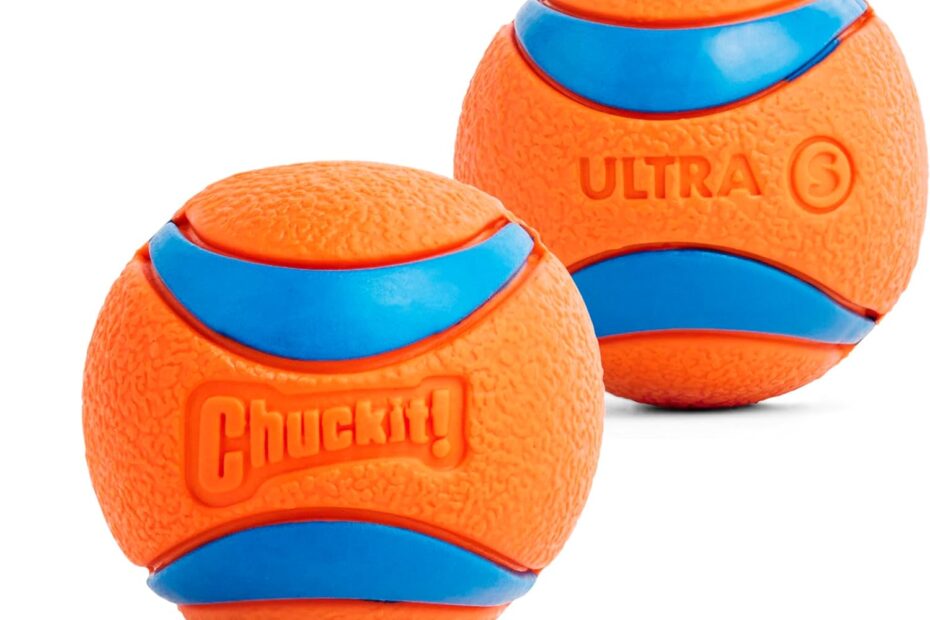 Fetch Fun: Review of Chuckit! Ultra Ball Dog Toy for Endless Play!