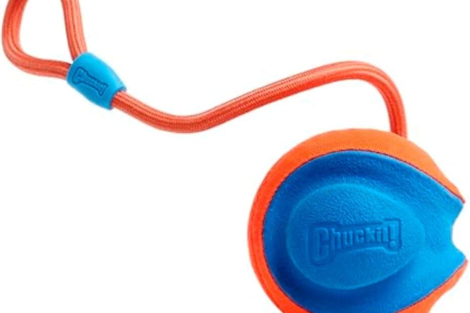 Fetch Fun Unleashed: Review of the Chuckit! Rope Fetch Dog Toy