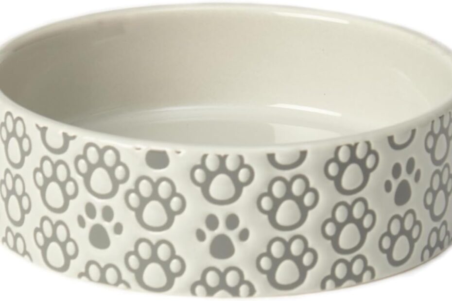 Find Out Why the PetRageous Paws Dog Bowl is a Must-Have for Your Furry Friend!