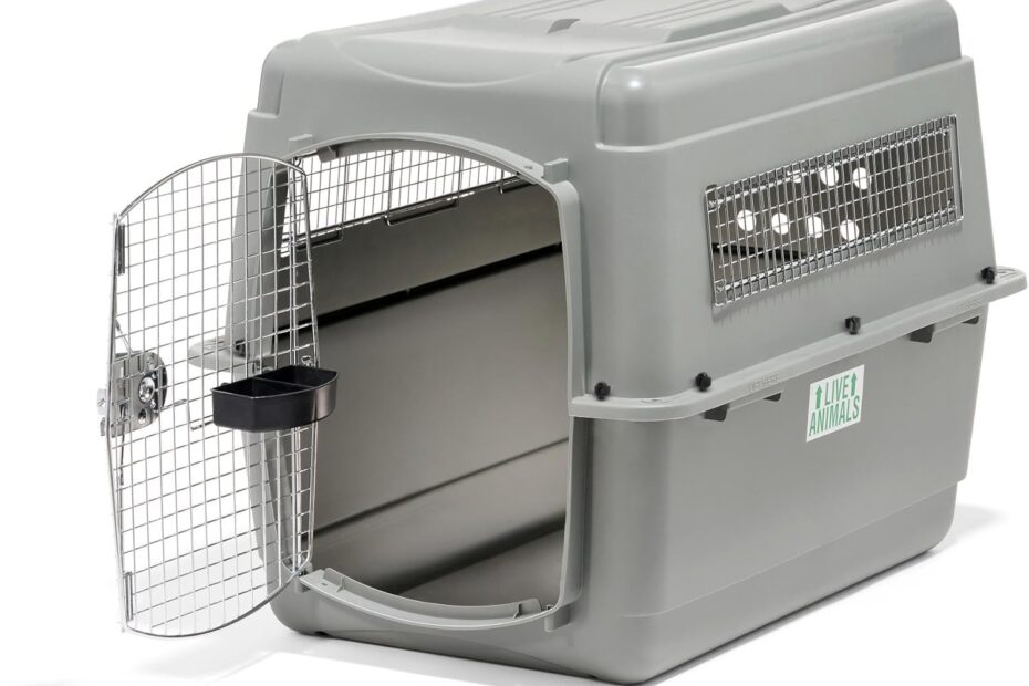 Fly Safe: Review of the Petmate Sky Kennel for Your Furry Travel Companion