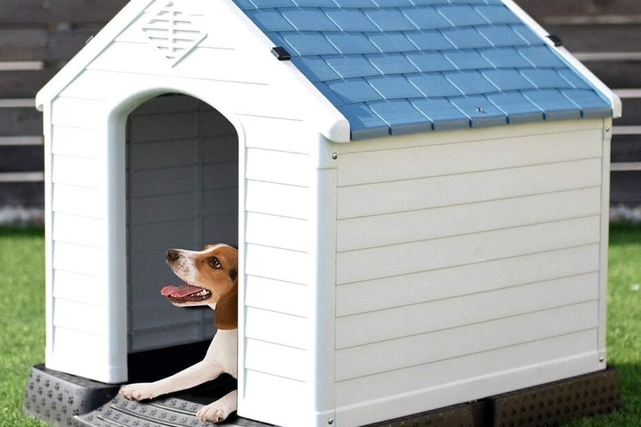 Get the Best Shelter: Review of the Large Plastic Dog House for Big Breeds