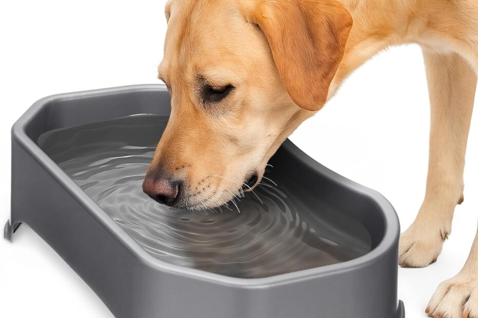 Hydrate Your Pup: Discover the Neater Pet Brands Large Water Bowl for Dogs!