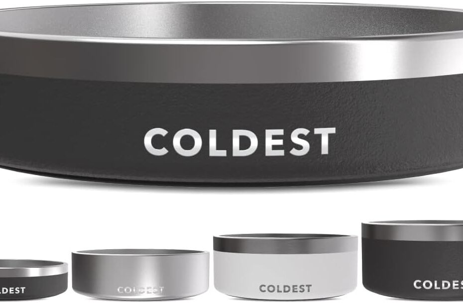 Keep Your Pets Hydrated: A Review of the Coldest Dog Bowl